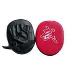 Boxing/Martial Arts training equipment