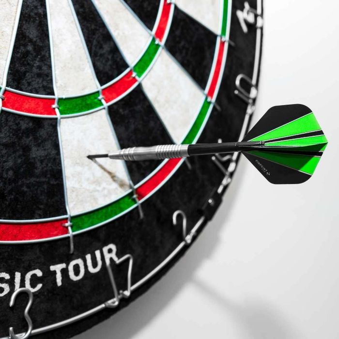 PINPOINT Standard Dartboard [Classic Tour]